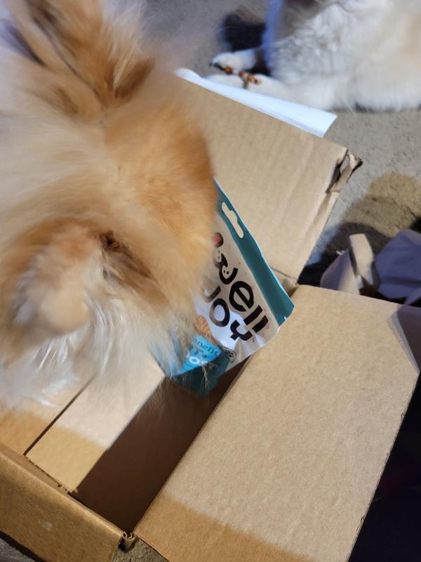 Box of health treats