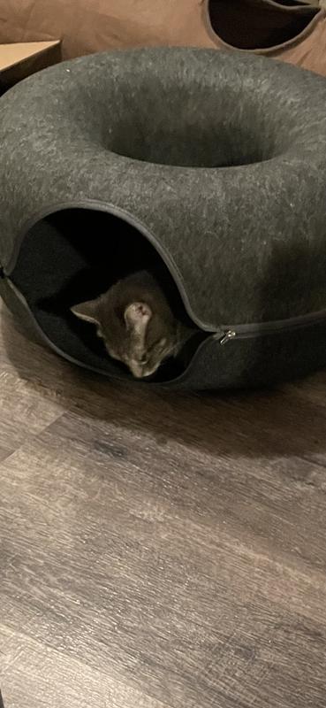 Hiding to sneak up on me