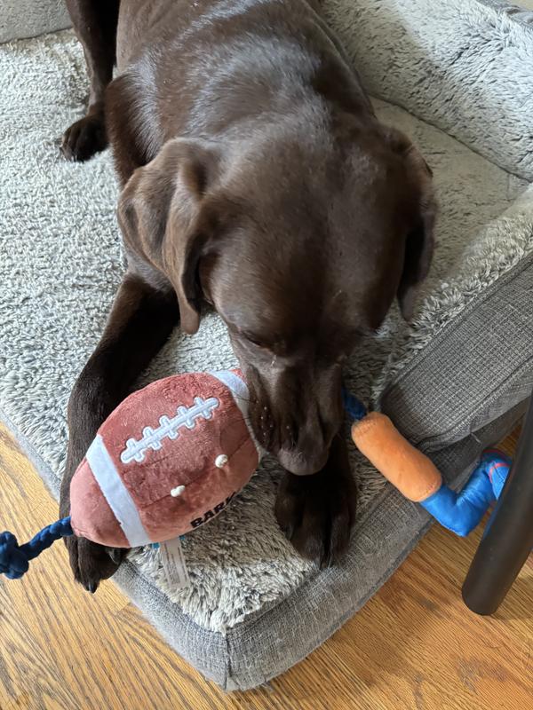 Early days chewing on the toy