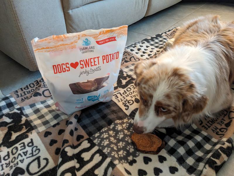 Pebbles is getting ready to gobble up her treat.