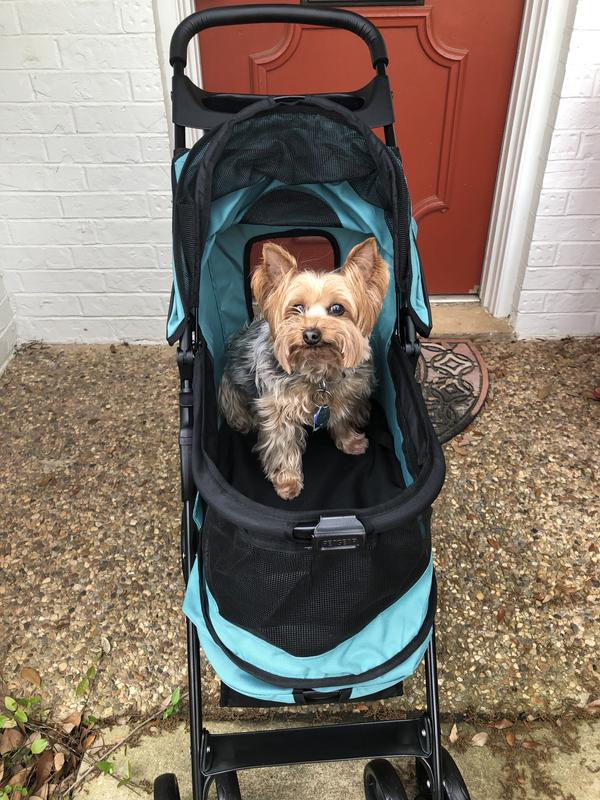 PET GEAR Happy Trails Lite NoZip Pet Stroller, Pine Green