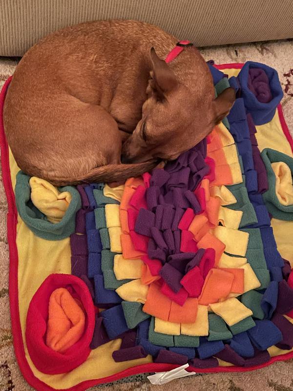 nap on the mat