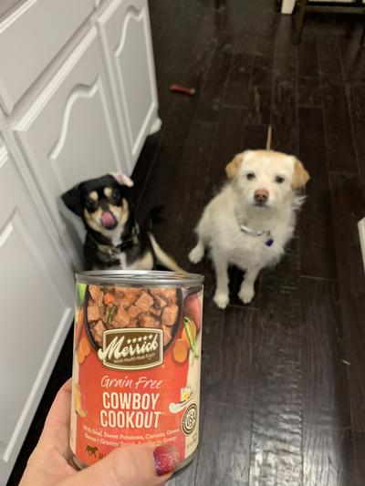 Merrick cowboy cookout dog food best sale