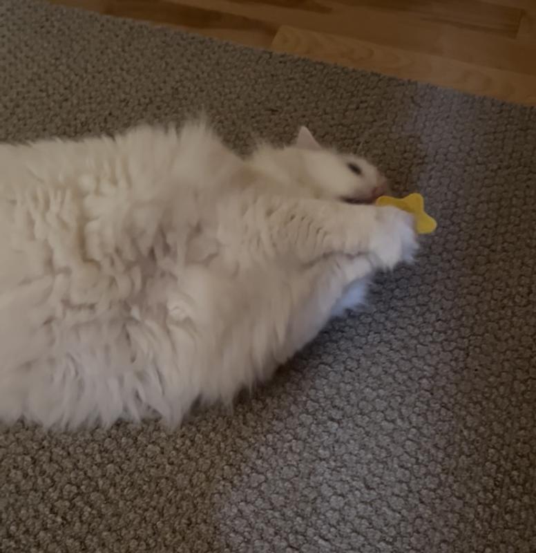 She grabs the flowers and licks them and rolls around!