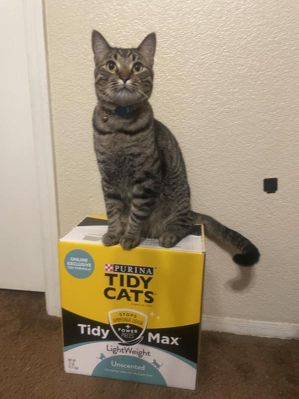 Johnny cat liners target sales