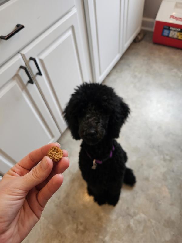 Our pup loves these treats!