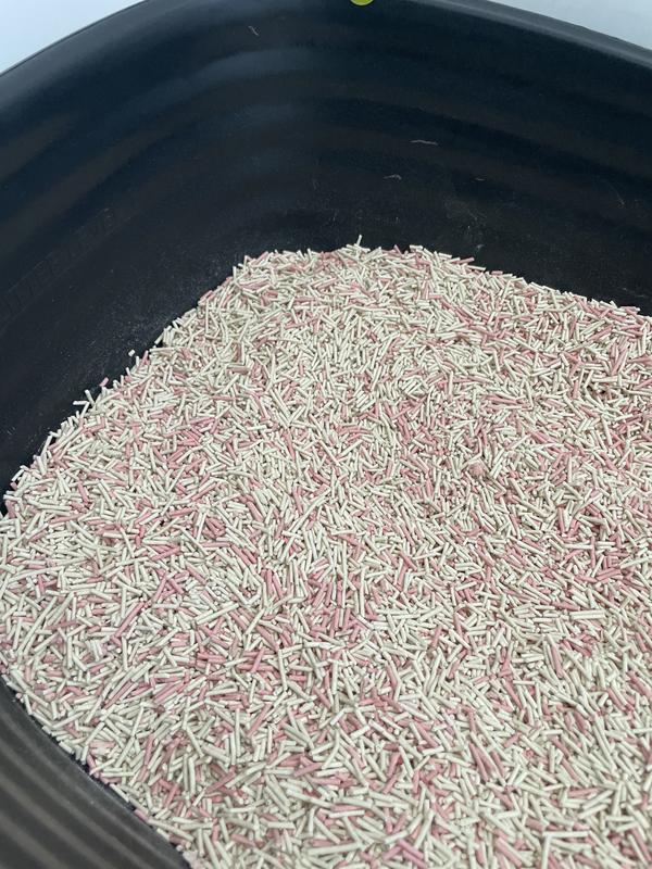 1/3 of this and 2/3 of Pidan litter!