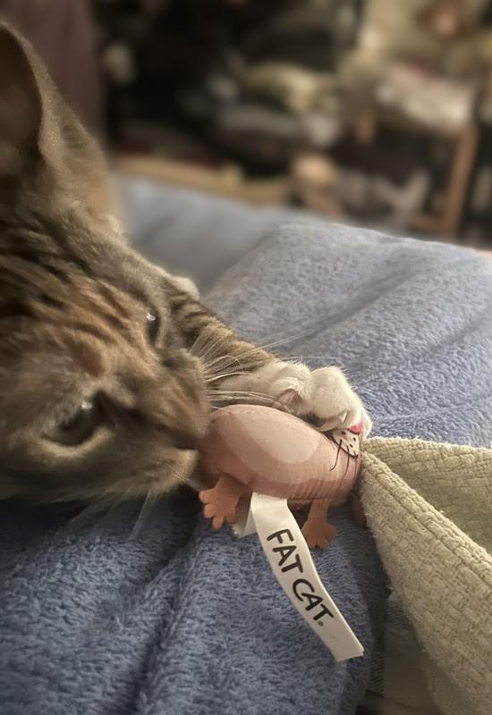 You're mine now Eeek!