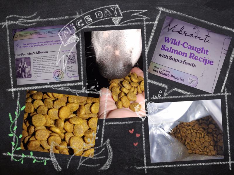 Princess enjoying Bundle x Joy Vibrant Salmon Recipe Dry Dog Food