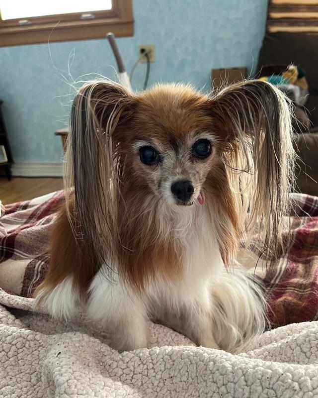 Molly a 16 year old princess