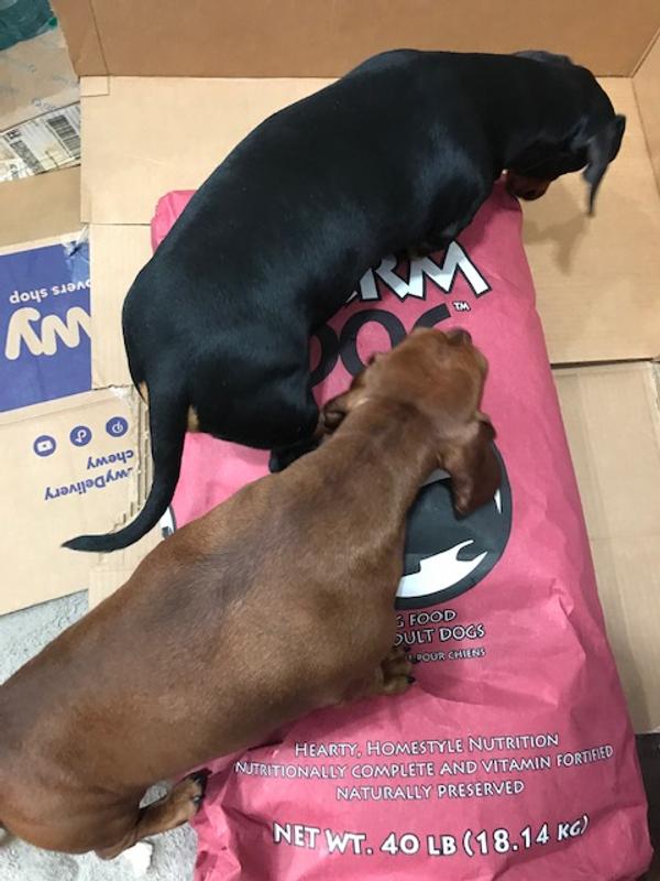 Storm and Bug Getting the Bag!