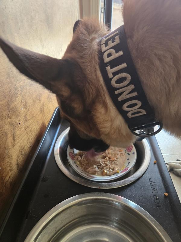 Ate it right up!