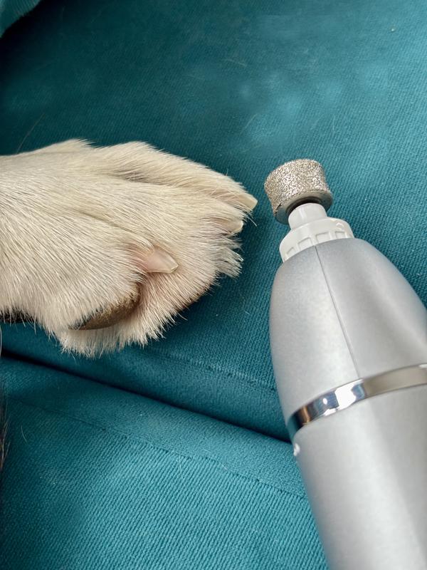 Grinder with cover removed for larger nails