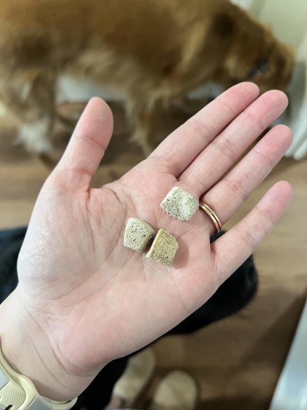 Dehydrated pieces - don’t get much bigger than this.