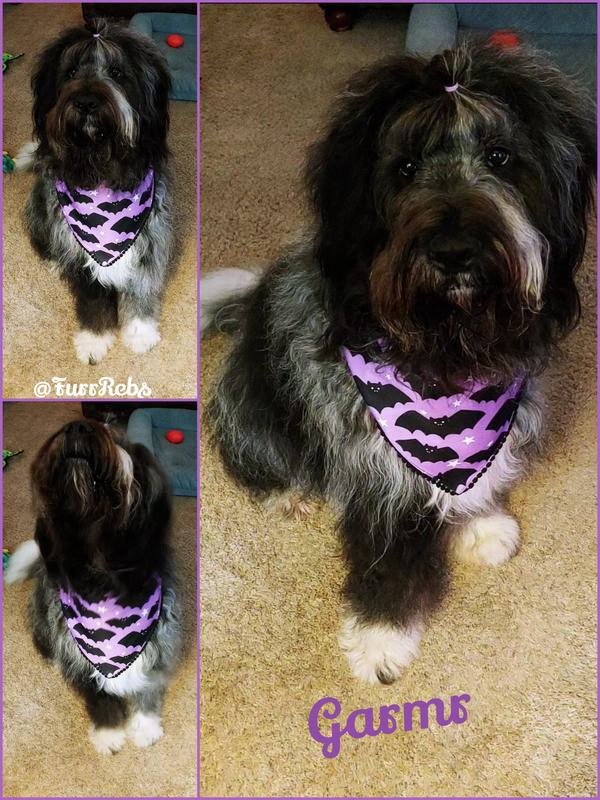 Garmr's color is purple so fits her purfect. 💜