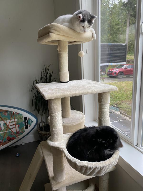 FRISCO 62-in Faux Fur Cat Tree & Condo with Hammock, Cream - Chewy.com