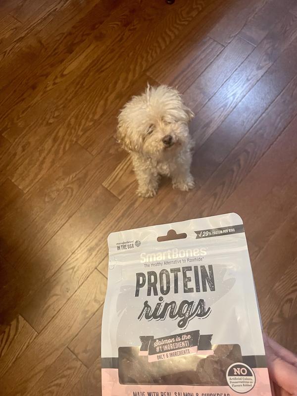 Someone is happily sitting for his treat!