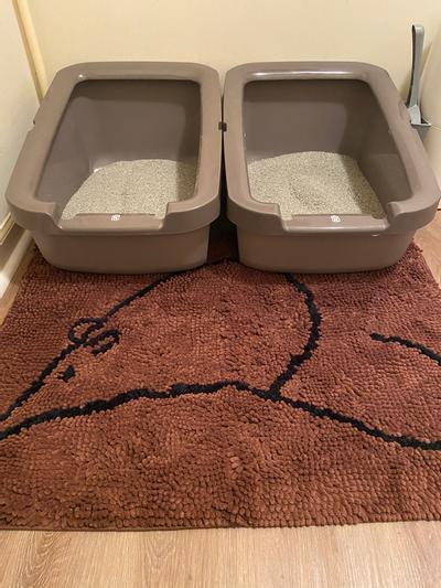 Dog Gone Smart Cat Litter Mat