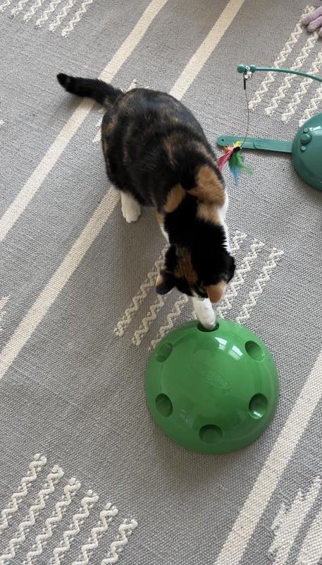 Pop n play cat toy clearance video