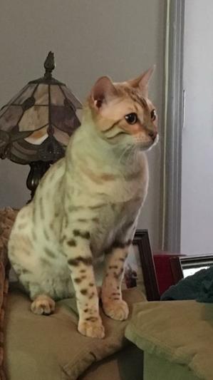 Luna Mars!