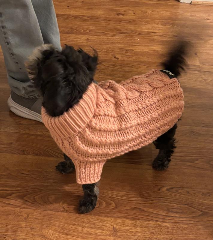 She wore this to her 5th Birthday Party.  Btw - that a size large on my 12 lb affen