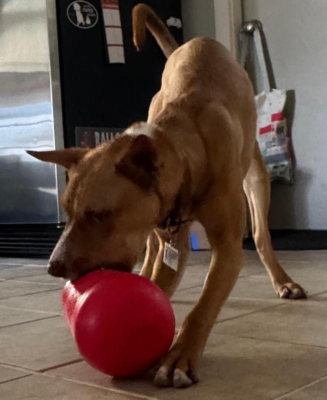 Scraping the plastic to try to open the dispenser