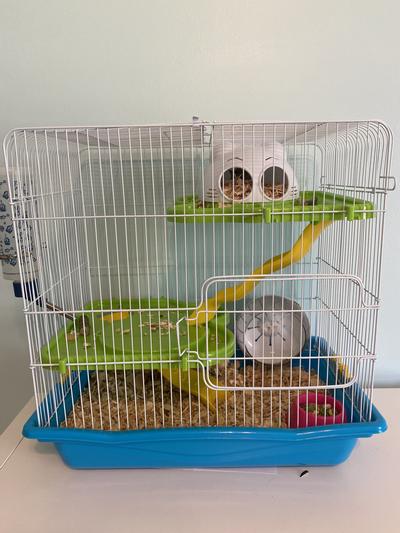 Prevue hamster clearance haven