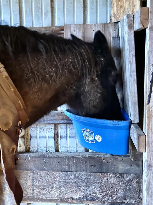 No hesitation from the first introduction.