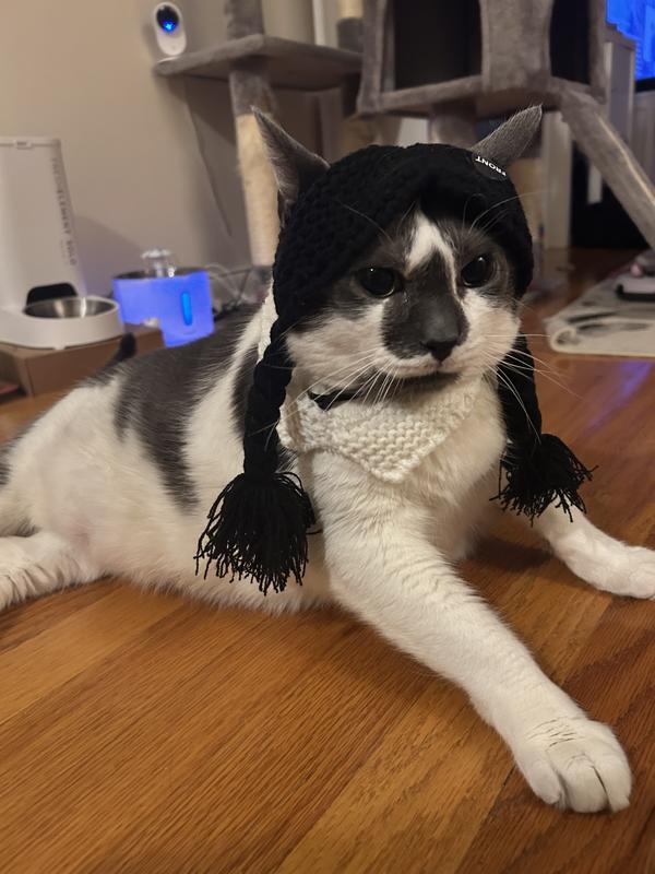 Rio not liking the set up but still looking adorable