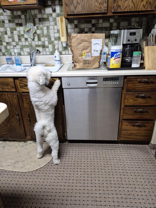 Charlie knows what's in this box is going to be good