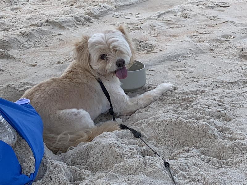 Great food