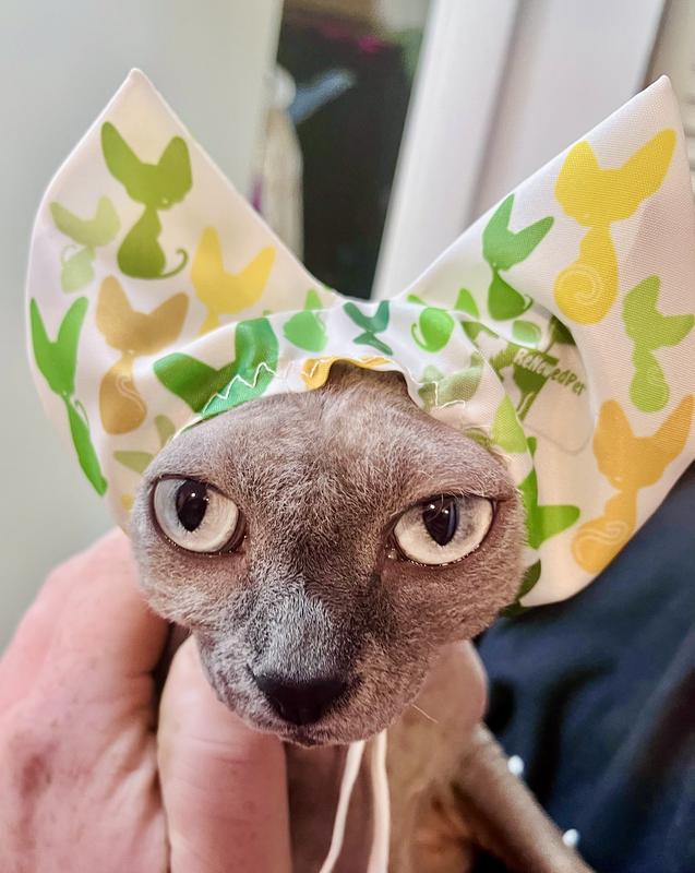 She doesn’t know what’s good for her :)