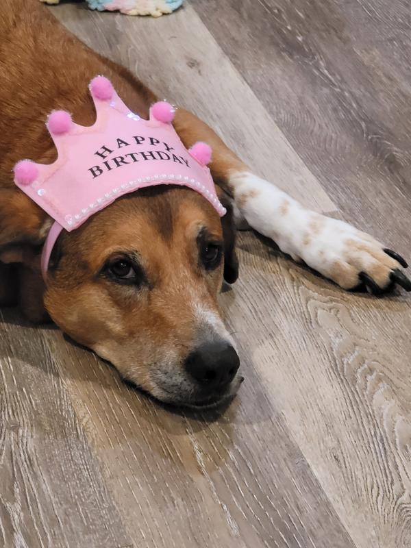 Tired from my birthday bash
