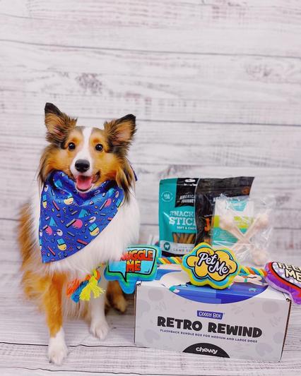 GOODY BOX Chewy Dog Toys, Treats, & Bandana reviews 