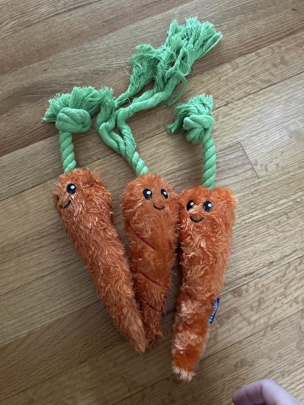Frisco Easter Carrot Plush with Rope Dog Toy