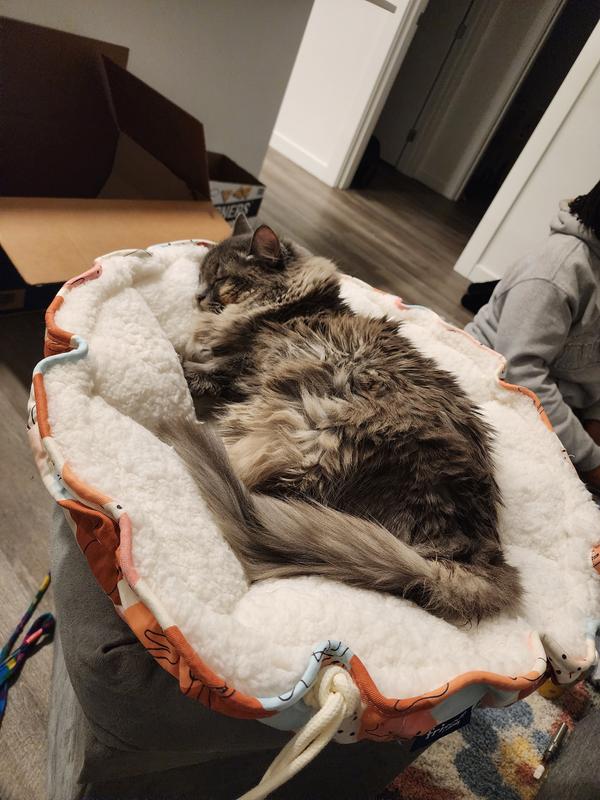 Frisco Adjustable Bolster Cat Bed, Calico Cat