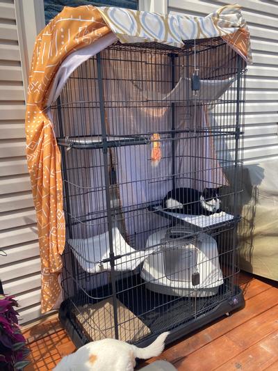 Prevue cat clearance cage