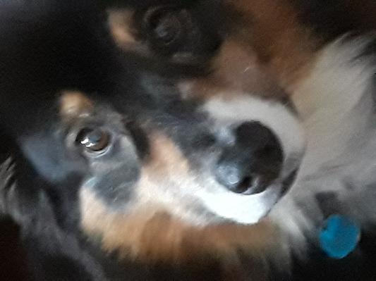The old man, Luke