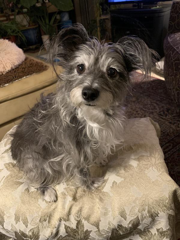 “What do you mean we’re OUT??”