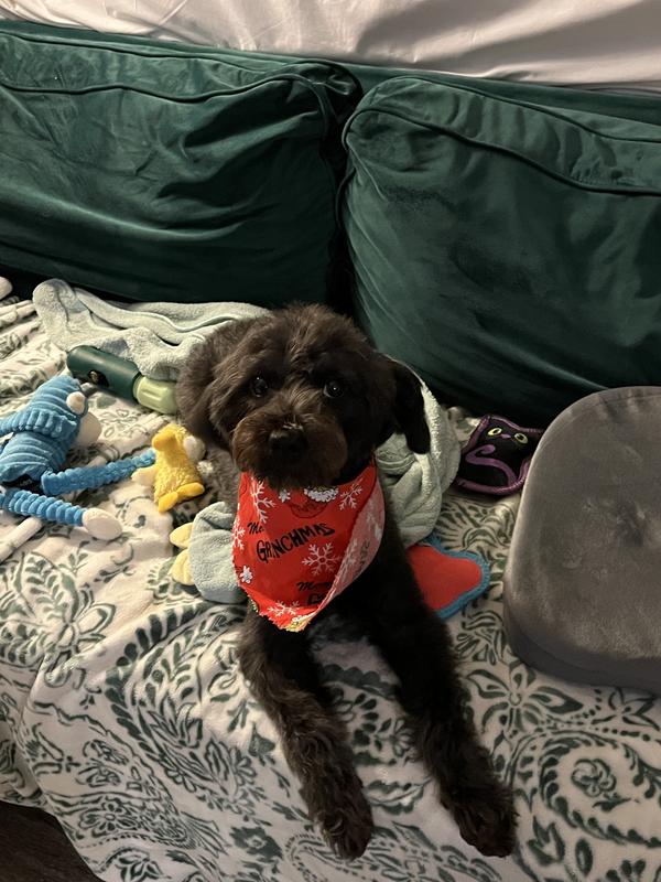 Buried it for later!