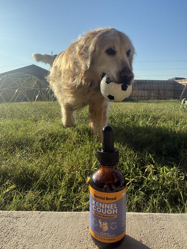 Happy to be able to play outside again!