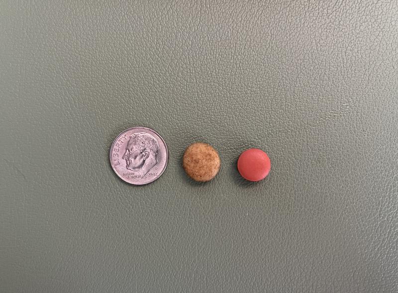 Kibble size as compared to dime and standard ibuprofen