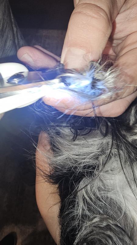 Lighting up the black nails.