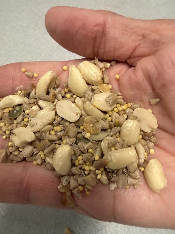 A nice mix of nuts and seeds