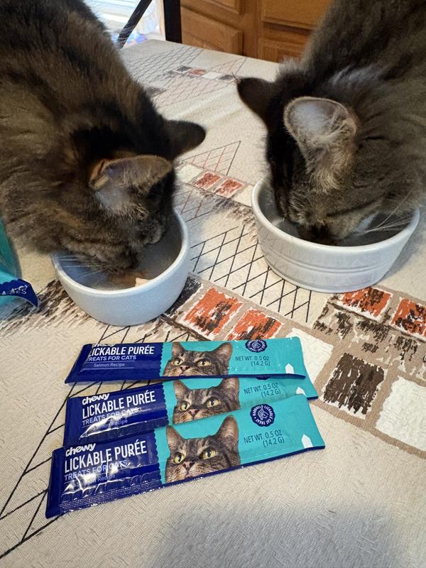 Karma (L) and Kitsu (R) LOVE These Special Treats