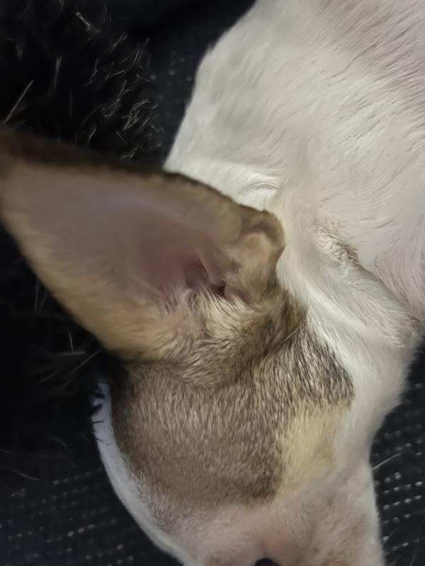 No irritation- nice and pink!