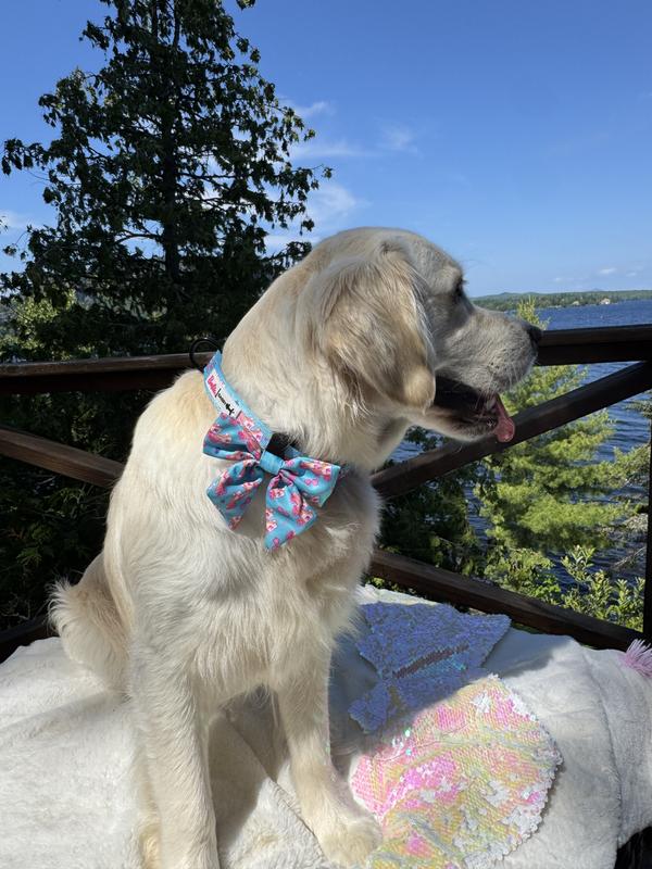 Barbie On A Roll Sailor Bow