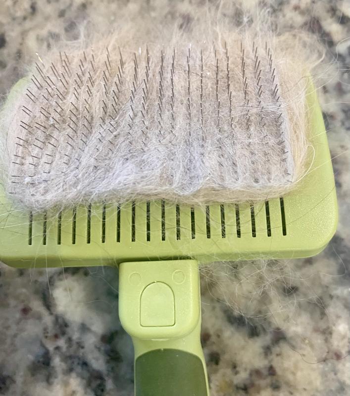SAFARI Self Cleaning Slicker Brush for Cats Chewy