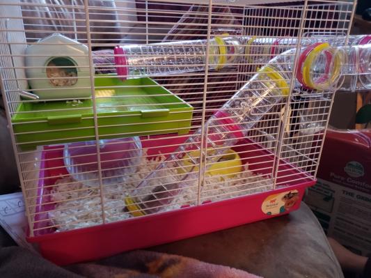 Laura 2024 hamster cage