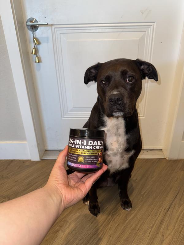 My dog Tosti with vitamins